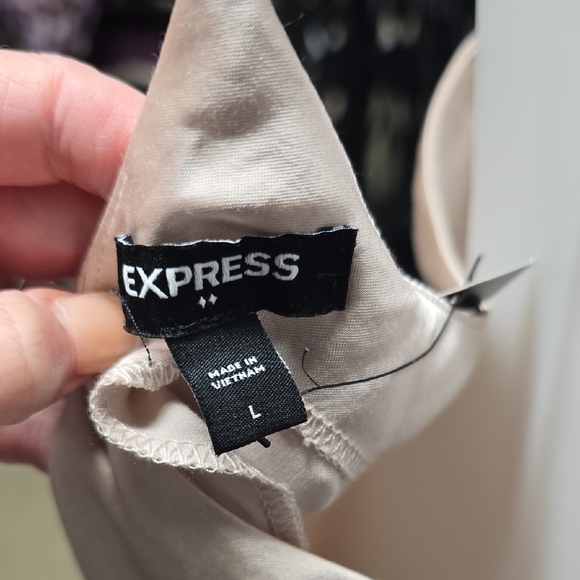 Express Satin Dress in Champagne - Picture 11 of 11